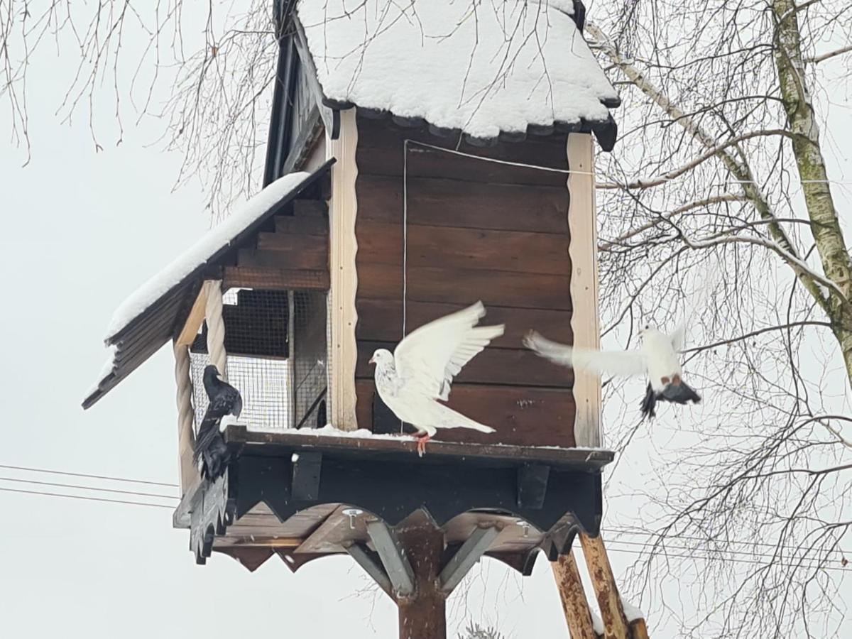 Casa Del Campo 1 Βίλα Gasno Εξωτερικό φωτογραφία