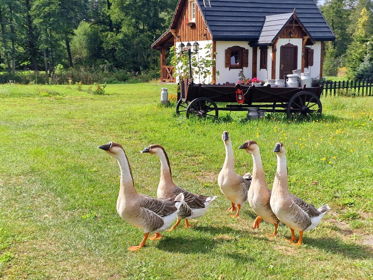 Casa Del Campo 1 Βίλα Gasno Εξωτερικό φωτογραφία